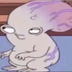 Meet your Posher, Joey